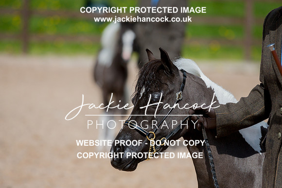 132041-110421-JHP