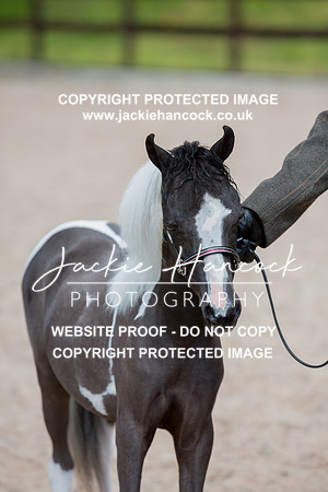 132110-110421-JHP