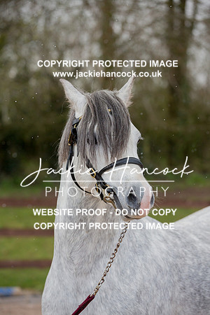 141926-110421-JHP