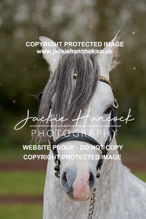 141926-110421-JHP-2