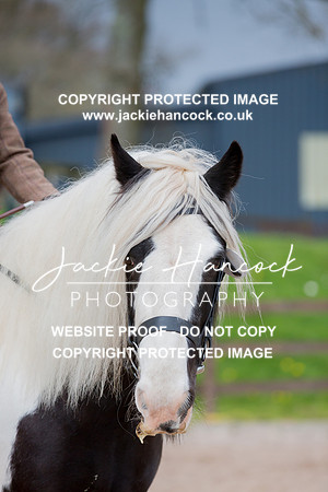 151140-110421-JHP