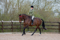 Class 12 - Riding Horse