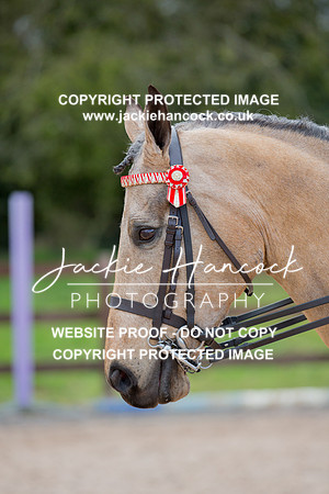 154019-110421-JHP