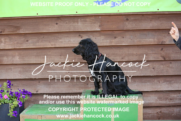 JHP_0167