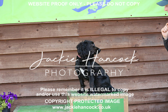 JHP_0168