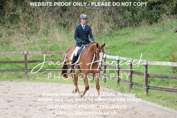 JHP20015