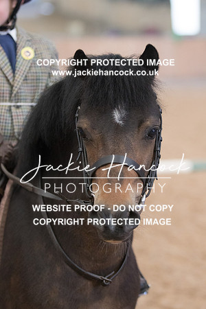 124040-250421-JHP
