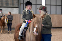 Class 7  - Handsome Gelding