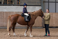 Class 8 - Shiniest Pony