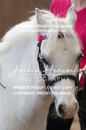130648-250421-JHP
