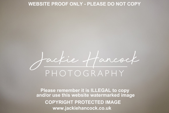 JHP50798