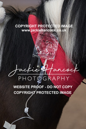 141939-250421-JHP