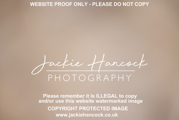 JHP52581