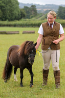 6V7A0019