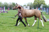 In Hand Class 10 - Coloured