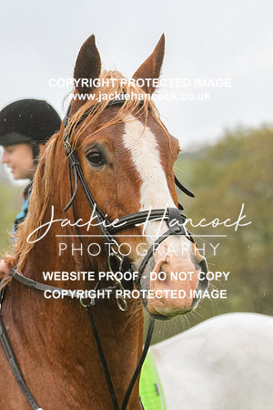 114012-080521-JHP