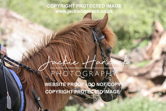 104037-090521-JHP