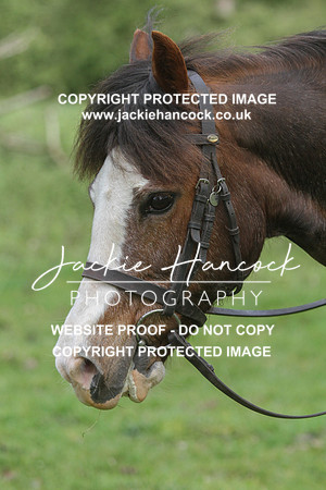 111221-090521-JHP