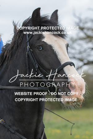102146-090521-JHP