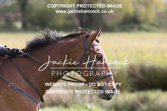 103851-090521-JHP