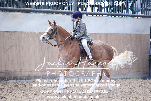 JHP_4043