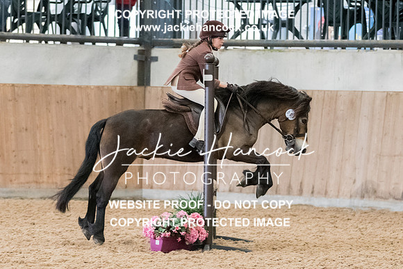 102008-230521-JHP-2