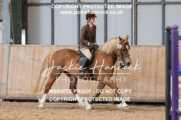 114103-230521-JHP-4