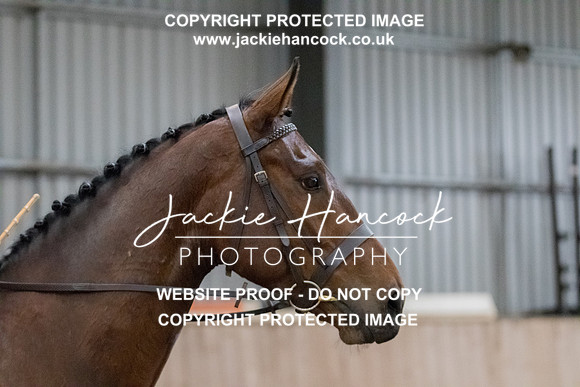 160832-230521-JHP
