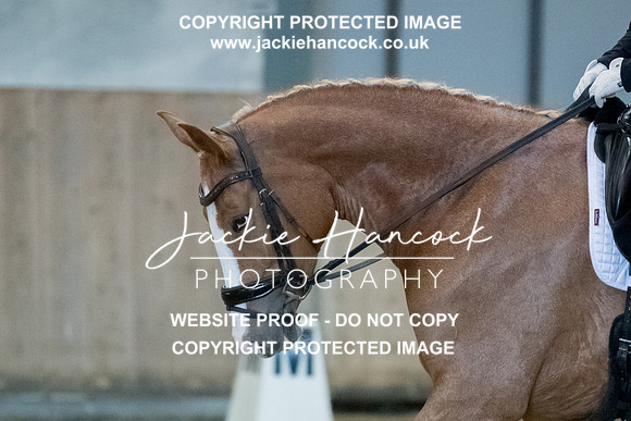 194655-260521-JHP-2