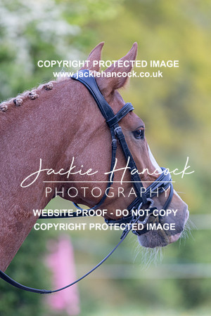 194747-260521-JHP-2