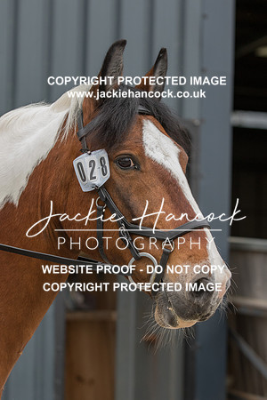 114657-290521-JHP