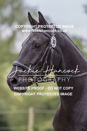 114823-290521-JHP-2