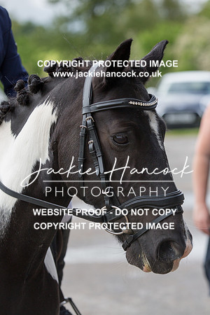 101006-060621-JHP