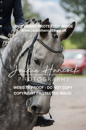 130328-060621-JHP