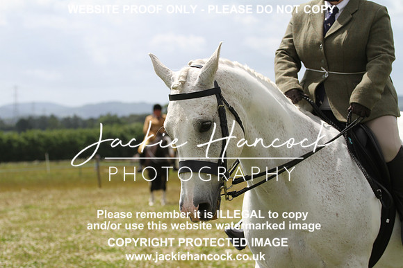 IMG_3595