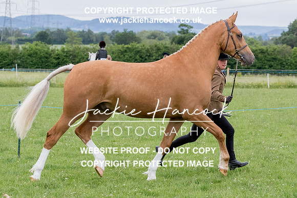 103530-190621-JHP