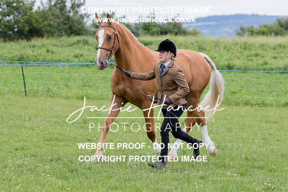 104101-190621-JHP-4