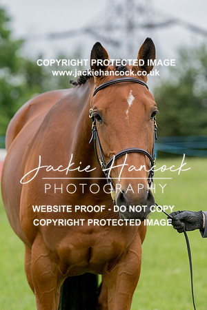 104155-190621-JHP-2
