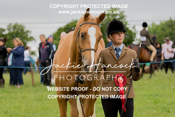 104230-190621-JHP-2