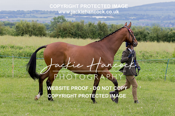 104410-190621-JHP