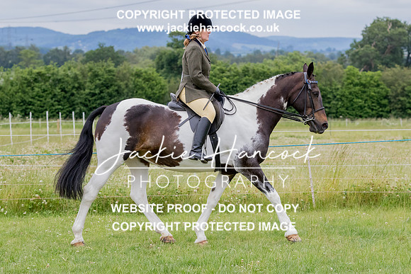 132836-190621-JHP
