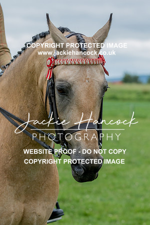 133059-190621-JHP