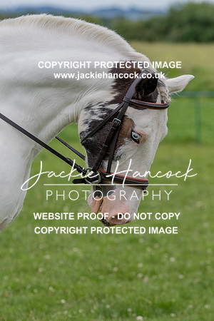 133104-190621-JHP