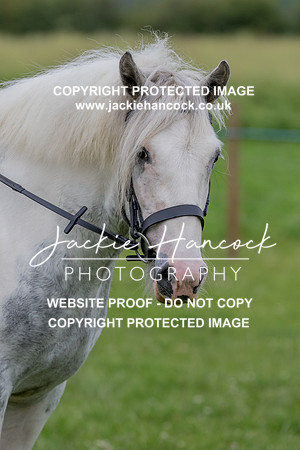 133120-190621-JHP
