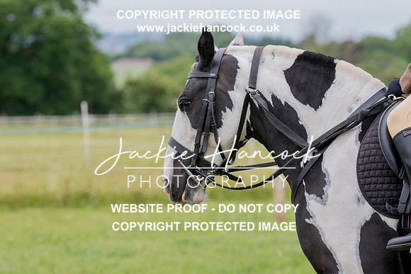 133250-190621-JHP