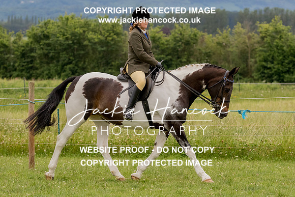 133610-190621-JHP-2