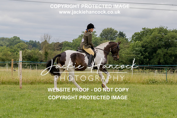 133656-190621-JHP-2