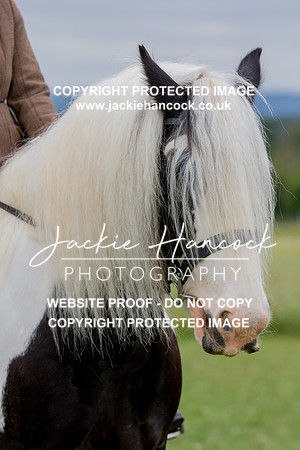134107-190621-JHP