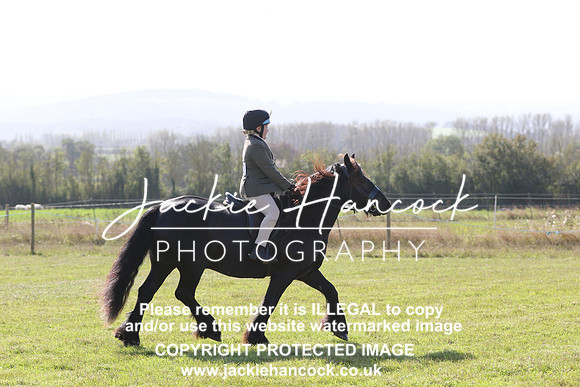 6V7A1658