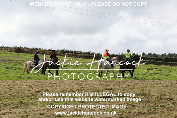 6V7A2818